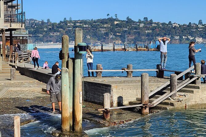 San Francisco Bay Cruise, Muir Woods and Sausalito Combo Tour - Morning pickup: Union Square, Nob Hill, and the Wharf