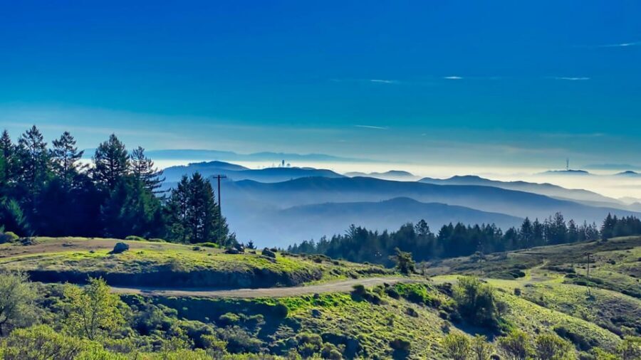 San Francisco: Bike Tour with Muir Woods and Sausalito Visit - Muir Woods National Monument: 90 Minutes Among Coastal Redwoods
