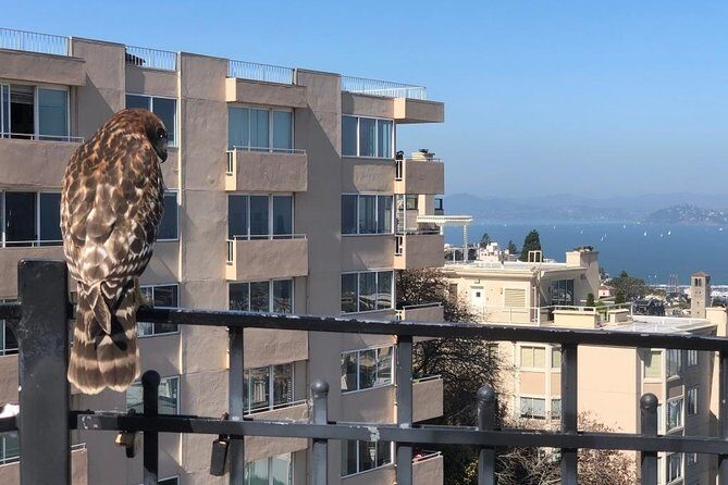 San Francisco Chinatown, Russian Hill, And North Beach Tour - Key things to know before you go