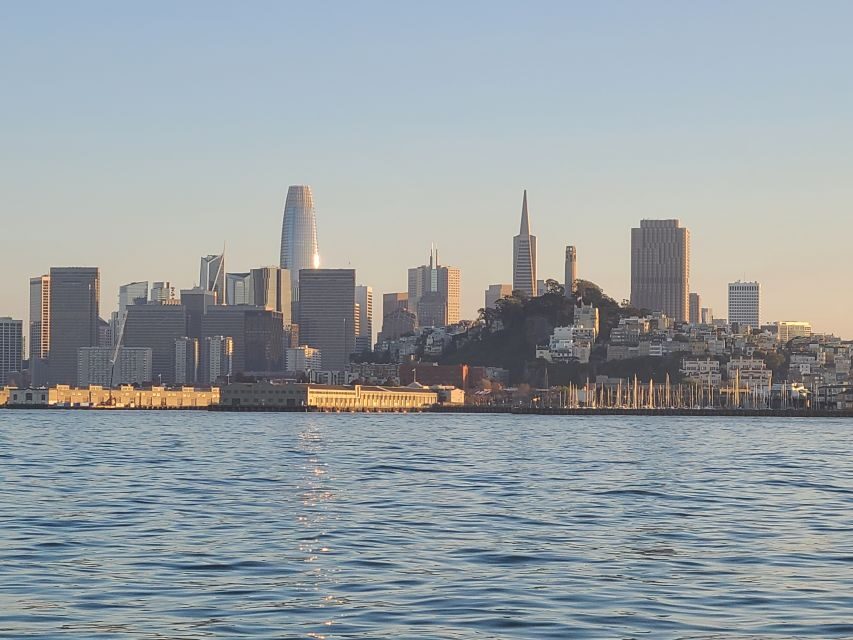 San Francisco: City Cruises Buffet Lunch or Dinner Cruise - Lunch cruise vs dinner cruise: when the vibe changes
