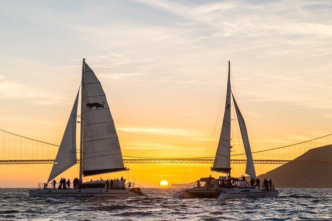 San Francisco City Lights Sail - Night Views From Pier 39: What This 1-Hour Sail Really Delivers