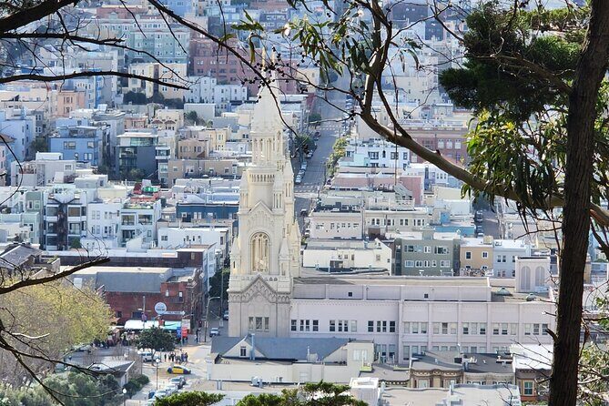 San Francisco City Small Group Morning Tour - Coastal and waterfront icons: museums, Pier 39, and the sweets-and-seaair mood