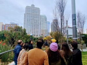 San Francisco: Downtown Architecture & Public Art Tour - Starchitects and skyline power: what these buildings teach you