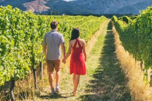 San Francisco: Full Day Coastal Redwoods & Wine Country Tour - Starting the day at Big Bus Tours, then zoning in on the best views