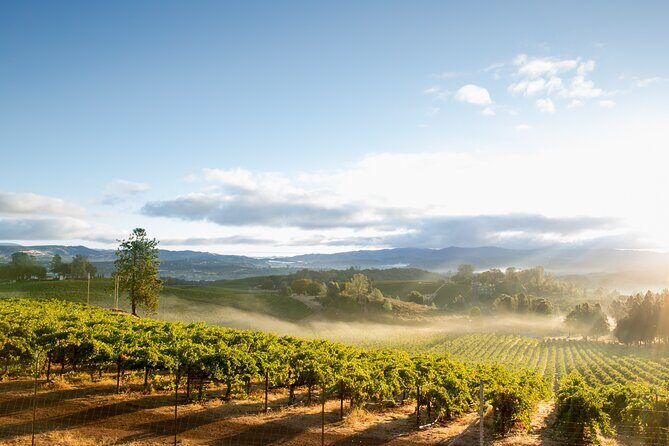San Francisco: Full Day Coastal Redwoods & Wine Country Tour - Russian River winery stop: relaxed scenery with a second opinion
