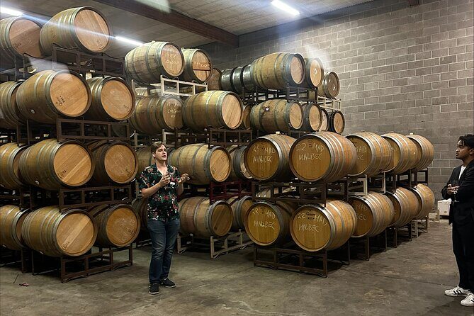 San Francisco: Full Day Coastal Redwoods & Wine Country Tour - Group size and atmosphere: easier to connect, not just to “get through”