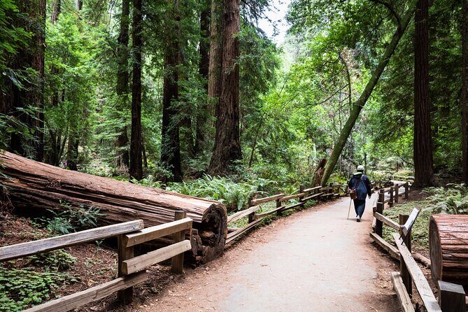 San Francisco, Golden Gate, Sausalito and Muir Woods Private Tour - A private 8-hour SF and Marin route that actually works