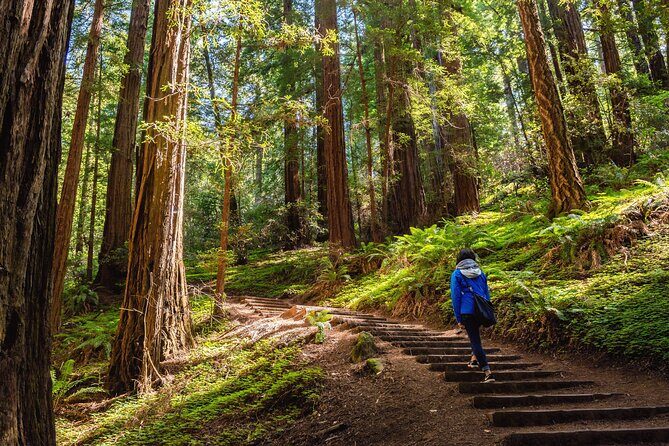 San Francisco, Golden Gate, Sausalito and Muir Woods Private Tour - Marin Headlands: the Pacific side of the story