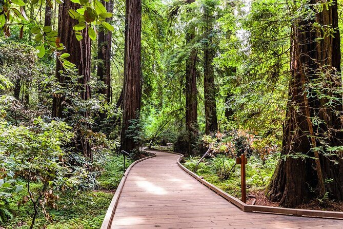 San Francisco, Golden Gate, Sausalito and Muir Woods Private Tour - Sausalito: a waterfront town stop plus a long-running harbor meal