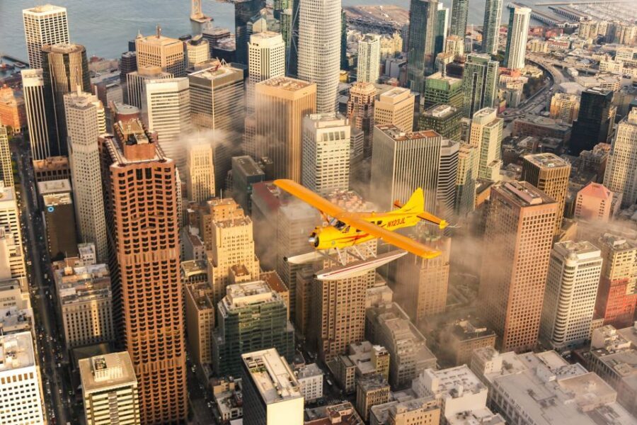 San Francisco: Greater Bay Area Seaplane Tour - Muir Woods redwoods: the unexpected change in scenery