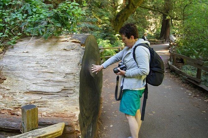 San Francisco: Guided Muir Woods Tour & Hop-on Hop-off Bus Tour - 24-Hour Hop-on Hop-off: Build Your Own SF Highlights