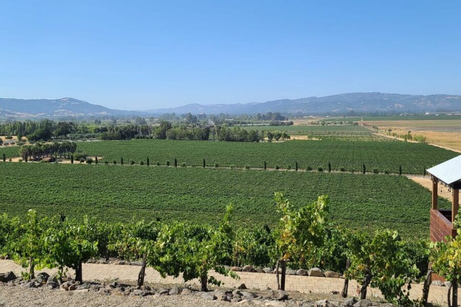 San Francisco: Half-Day Wine Tour with 2 Tastings Included - Key highlights worth getting excited about