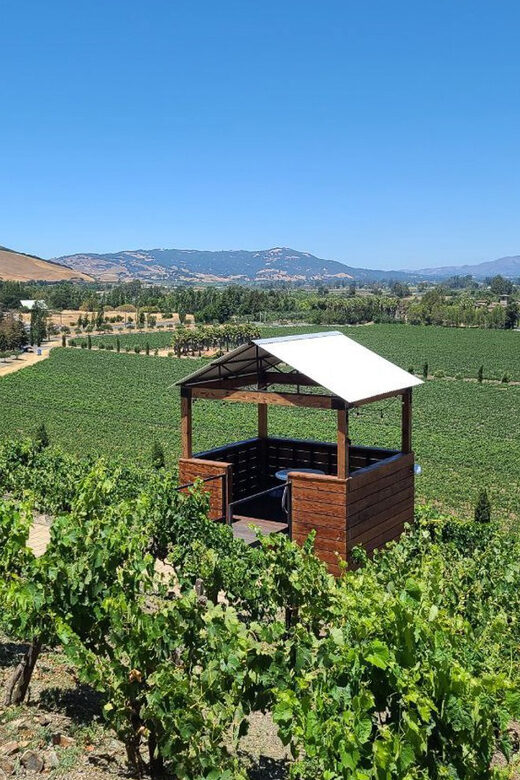 San Francisco: Half-Day Wine Tour with 2 Tastings Included - San Francisco to Sonoma Valley: the drive is half the experience