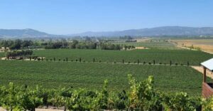 San Francisco: Half-Day Wine Tour with 2 Tastings Included - Golden Gate Bridge and Marin County Vista Point: plan for photos and skyline time