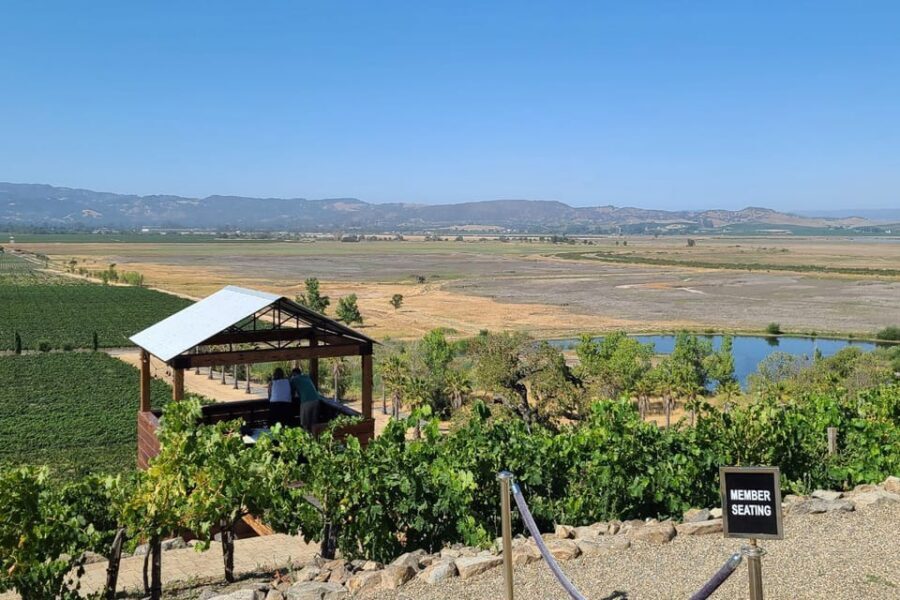 San Francisco: Half-Day Wine Tour with 2 Tastings Included - Stop 1 in Sonoma: your tasting hour and the lunch decision