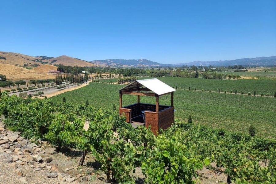 San Francisco: Half-Day Wine Tour with 2 Tastings Included - Price and timing: is $189 worth it for this half-day?