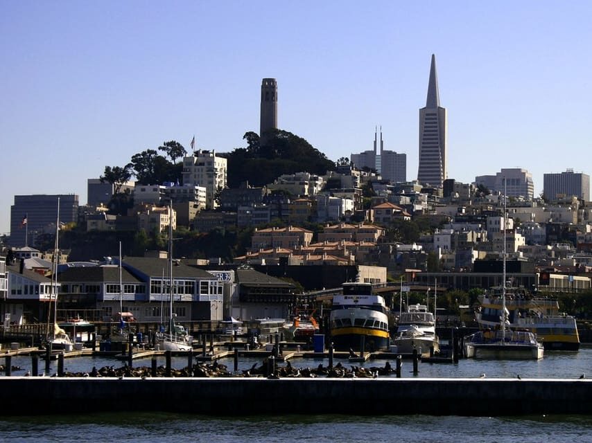 San Francisco: Hop-On Hop-Off City Bus Tour and Bay Cruise - Quick hits you’ll feel on day one