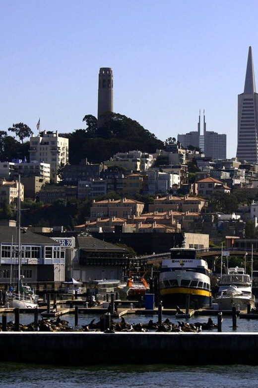 San Francisco: Hop-On Hop-Off City Bus Tour and Bay Cruise - Practical tips that make the day smoother