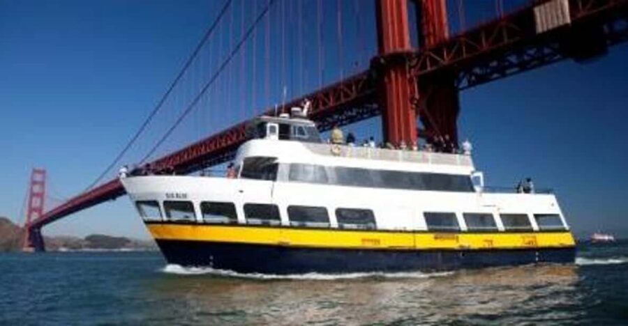 San Francisco: Hop-On Hop-Off City Bus Tour and Bay Cruise - Starting points: where to meet and how to avoid confusion