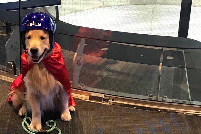 San Francisco Indoor Skydiving with 2 Flights & Personalized Certificate - Watching, Small-Group Rhythm, and One-on-One Coaching