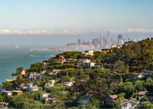 San Francisco: Muir Woods and Sausalito Half-Day Trip - Muir Woods: the reason this tour is worth your time