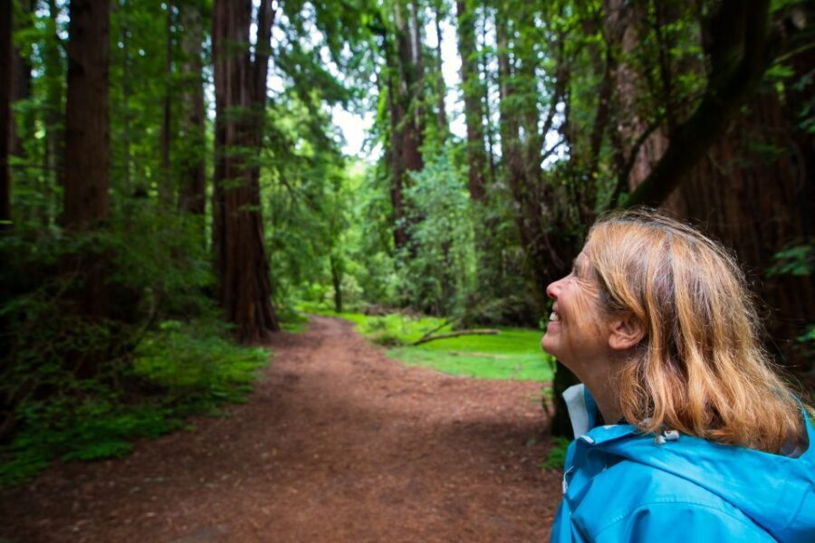 San Francisco: Muir Woods and Sausalito Tour with Admission - Early Access to Giant Redwoods: Why the Timing Matters