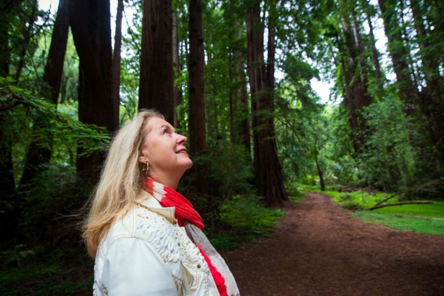 San Francisco: Muir Woods and Sausalito Tour with Admission - Price and Value: What $89 Buys You (and Why It’s Not Just Transport)