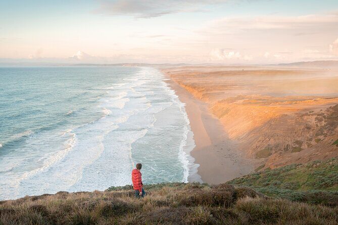 San Francisco: Muir Woods, Point Reyes, and Meadery Tour - Key Points That Make This Tour Worth Your Time