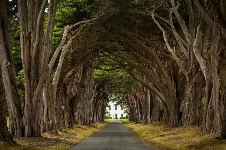 San Francisco: Muir Woods, Point Reyes, and Meadery Tour - Planning Your Day: How the Route Fits Together