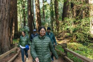 San Francisco: Muir Woods, Sausalito and SF Bay Cruise - The Drive Via Highway 101 and Mt. Tamalpais: Why the Route Matters