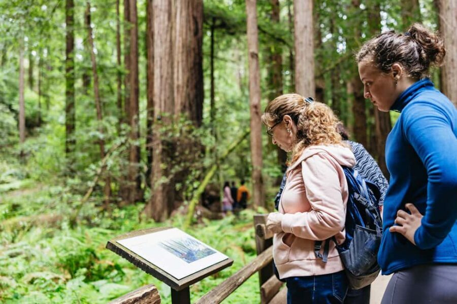 San Francisco: Muir Woods & Sausalito Tour with Ferry Option - Entering Muir Woods: 90 Minutes With the Giants