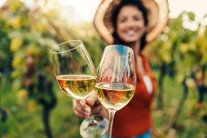 San Francisco: Napa & Sonoma Wine Tour & 24hr Hop-on Hop-off Tour - The combo tour that actually works for a short trip
