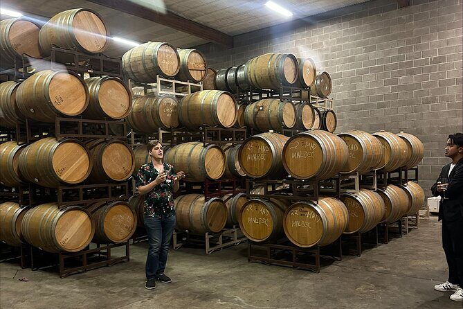 San Francisco: Napa & Sonoma Wine Tour & 24hr Hop-on Hop-off Tour - Napa & Sonoma: what the wine touring day feels like