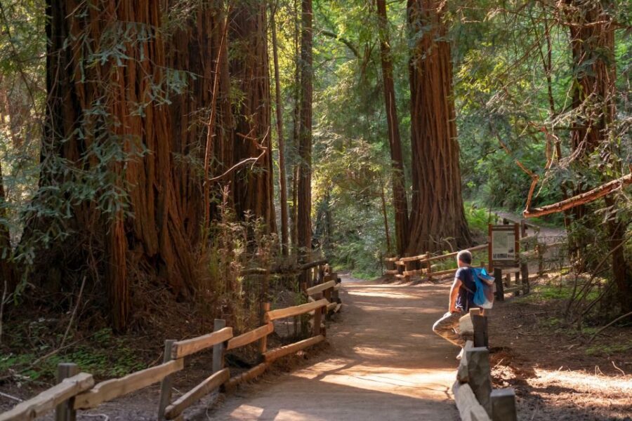 San Francisco: Private Muir Woods and Sausalito Tour - Guides, Humor, and the Kind of Stories You Want on the Road