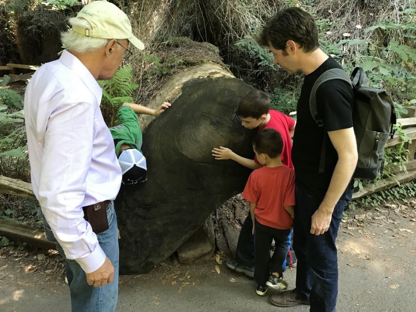 San Francisco: Private Muir Woods and Sausalito Tour - Who This Tour Fits Best (And Who Might Want Something Else)
