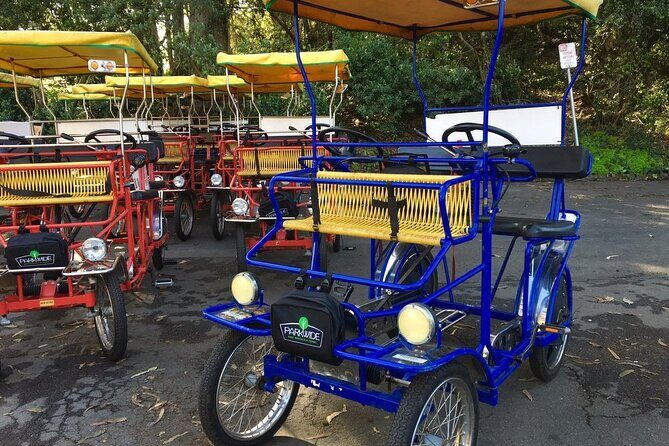 San Francisco: Scenic Surrey Ride Through Golden Gate Park - Key Things to Know Before You Ride