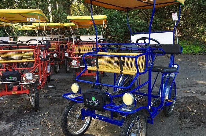San Francisco: Scenic Surrey Ride Through Golden Gate Park - One Speed, Heavy Pedals: The Real Fitness Check