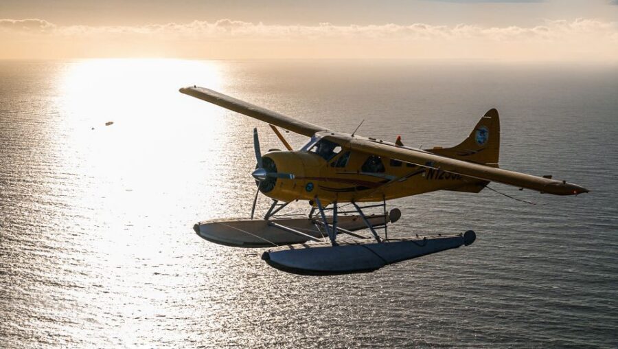 San Francisco: Seaplane Flight with Champagne - A 40-Minute Golden Gate Seaplane Ride That Feels Like a Private Moment