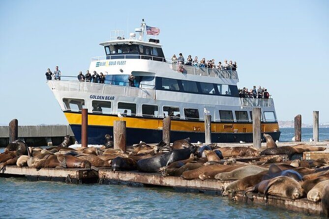 San Francisco Sunset Cruise - The Golden Gate Bridge: when you get a show and when you get a lesson