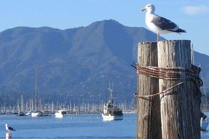 San Francisco Sunset Cruise - From the pier to the Golden Gate: your first real photo stretch