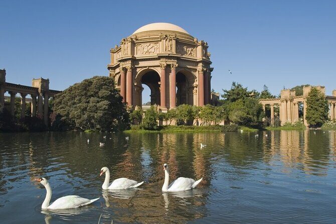 San Francisco: Surrey Ride Along the Scenic Marina Waterfront - Price and value: why $35 can feel fair