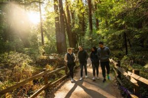 San Francisco to Muir Woods Shuttle - Sea lions, chowder, and ships: the SF warm-up stops