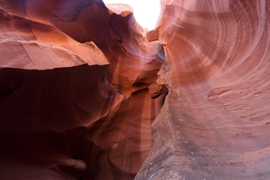 San Francisco: Yosemite, Las Vegas, Bryce & Zion, 6-Day Tour - Key things I’d bet you’ll care about