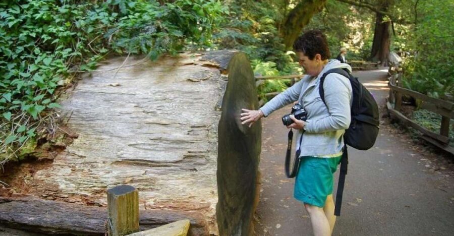 SF: Guided Muir Woods Tour & Hop-On Hop-Off Tour (Save 15%) - Key Points You’ll Actually Care About