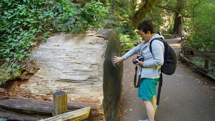 SF: Guided Muir Woods Tour & Hop-On Hop-Off Tour (Save 15%) - Why This Muir Woods + Hop-On Combo Works as a Full Day