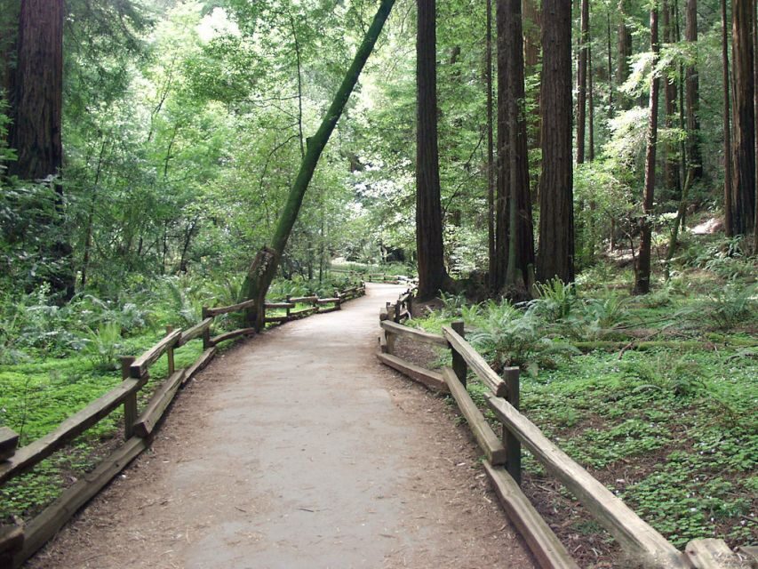 SF: Guided Muir Woods Tour & Hop-On Hop-Off Tour (Save 15%) - Price and Value: Is $140 a Good Deal?
