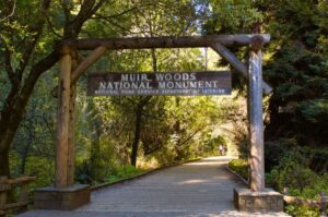 SF: Muir Woods, Sausalito, Golden Gate Bridge Private Tour - Picking up in San Francisco and rolling out with a real driver