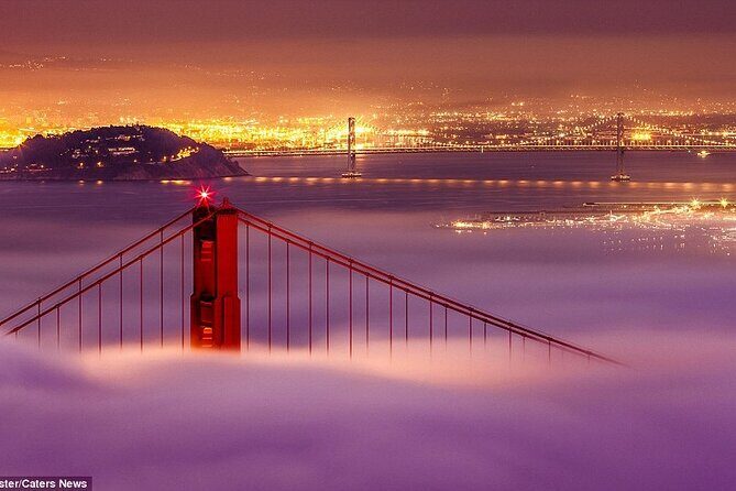 SFO Pick-Up with City Sightseeing Tour - Photo Stops at the Big Views: Golden Gate to Twin Peaks