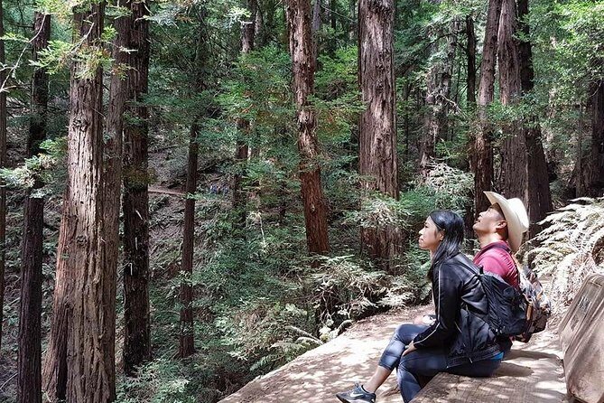 Shore Excursion from SF: Guided Tour to Muir Woods and Sausalito - What’s Included (and What You’ll Need to Pay For Yourself)