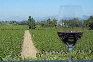 Sonoma and Napa Wine Tour 3 Tastings Included Small-Group Tour - Small-Group Comfort: What the 14-Guest Max Really Means